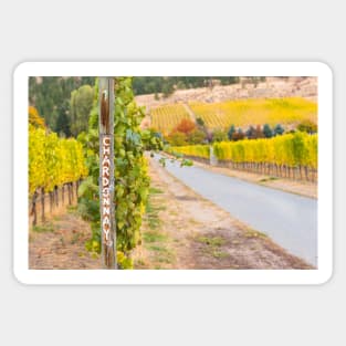 Chardonnay Sign in Autumn Vineyard Sticker